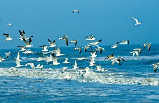 Cảm xúc khi nghe “Tổ quốc gọi tên mình”