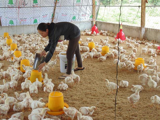 Hội Liên hiệp Phụ nữ thị xã Buôn Hồ với việc học tập và làm theo tấm gương đạo đức Hồ Chí Minh