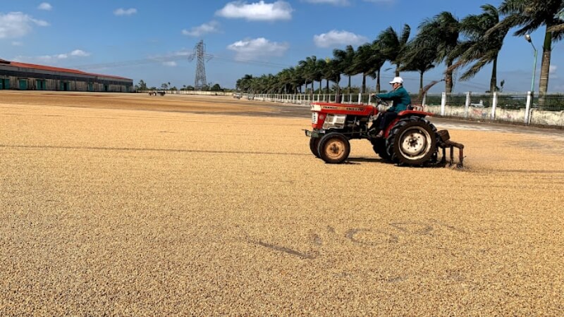 Nông trường cà phê An Thuận - Krông Búk